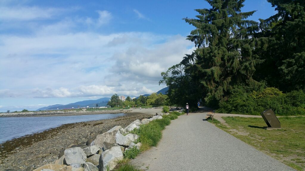 vancouver canine senior dog walking